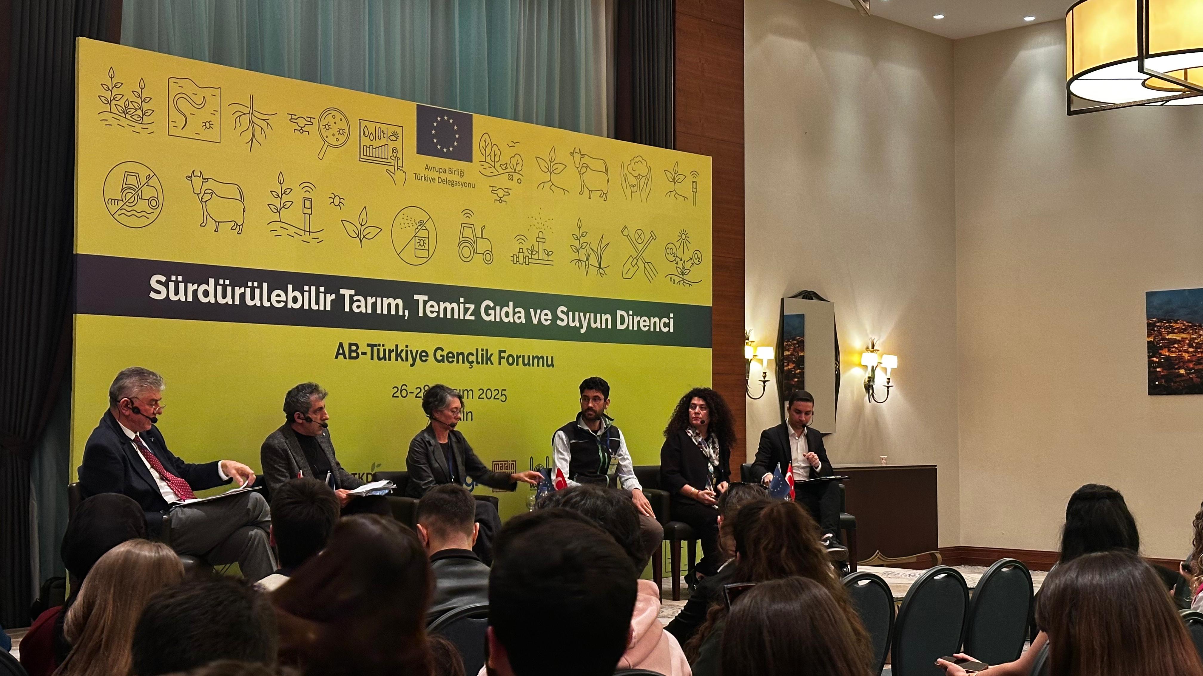 WhatsApp Image 2025-11-30 at 22.28.00.jpeg (907 KB)